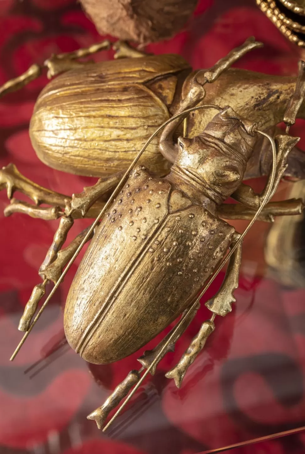 Dekoracje Ścienne-KARE Design Dekoracja ścienna Longicorn Beetle 15x27 Cm Złota