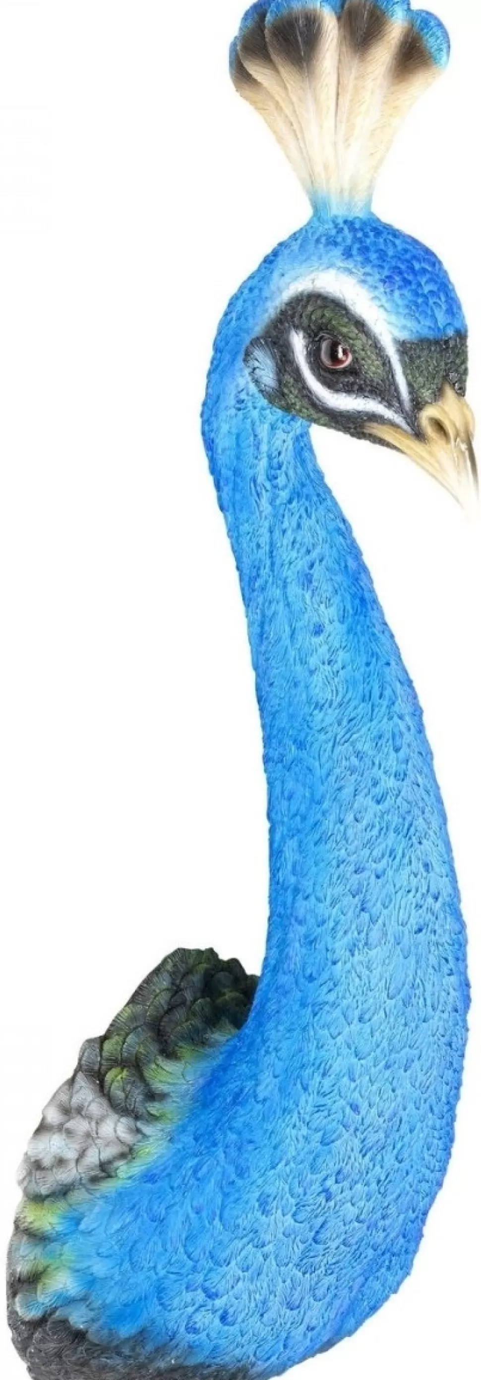 Dekoracje Ścienne-KARE Design Dekoracja ścienna Peacock 16x68 Cm Niebieska