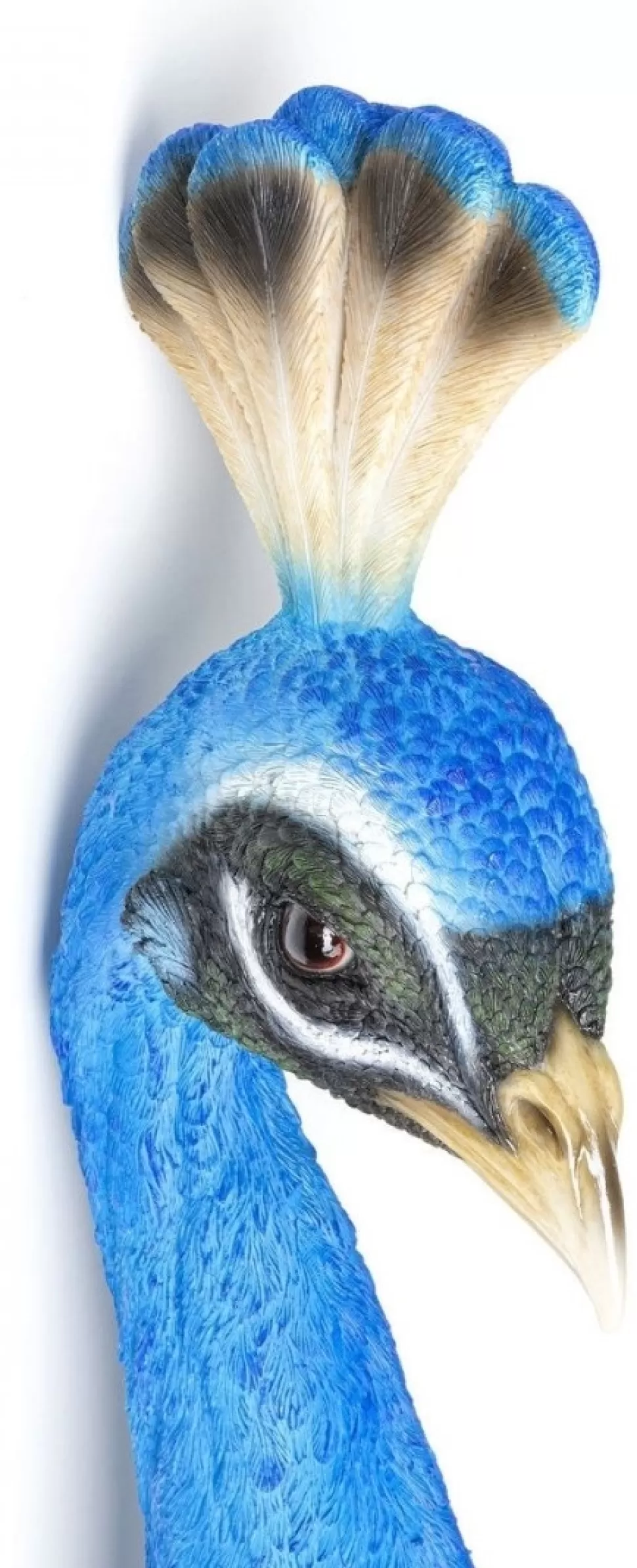Dekoracje Ścienne-KARE Design Dekoracja ścienna Peacock 16x68 Cm Niebieska