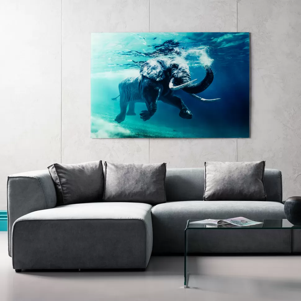 Obrazy-KARE Design Obraz Glass Swimming Elephant 180x120 Cm Kolorowy
