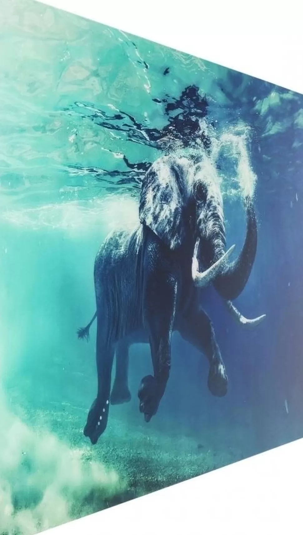 Obrazy-KARE Design Obraz Glass Swimming Elephant 180x120 Cm Kolorowy
