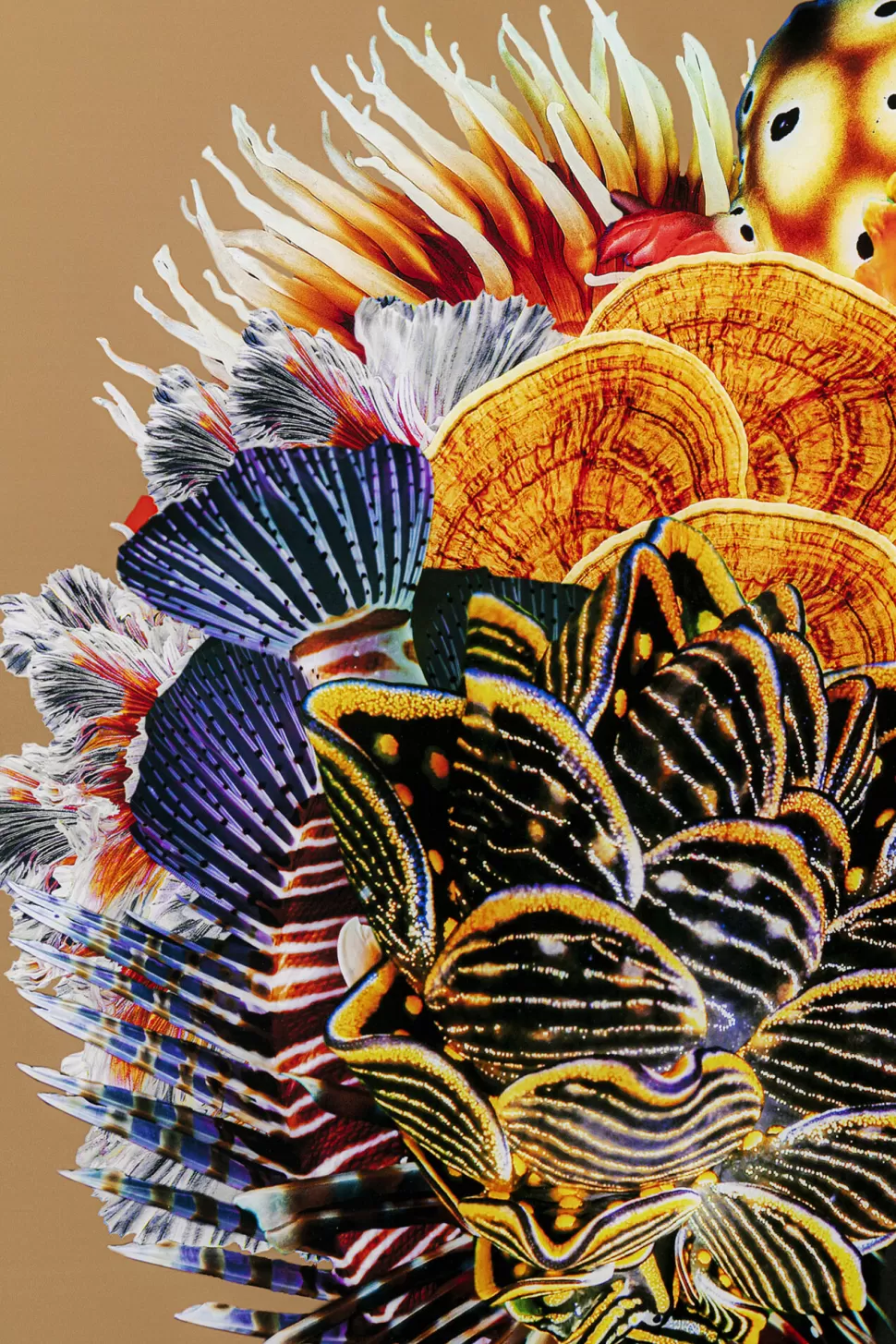 Obrazy-KARE Design Obraz Kwadratowy Kolorowy Rama Czarna Z Aluminium 120x120 Cm