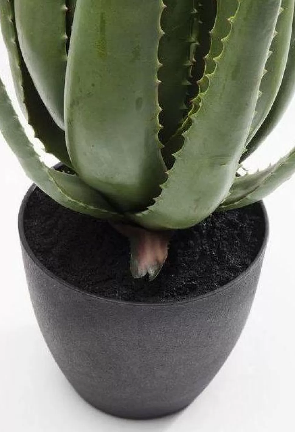 Rośliny Dekoracyjne-KARE Design Roślina Dekoracyjna Aloe 69 Cm