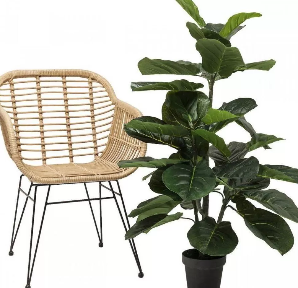 Rośliny Dekoracyjne-KARE Design Roślina Dekoracyjna Fiddle Leaf 120 Cm