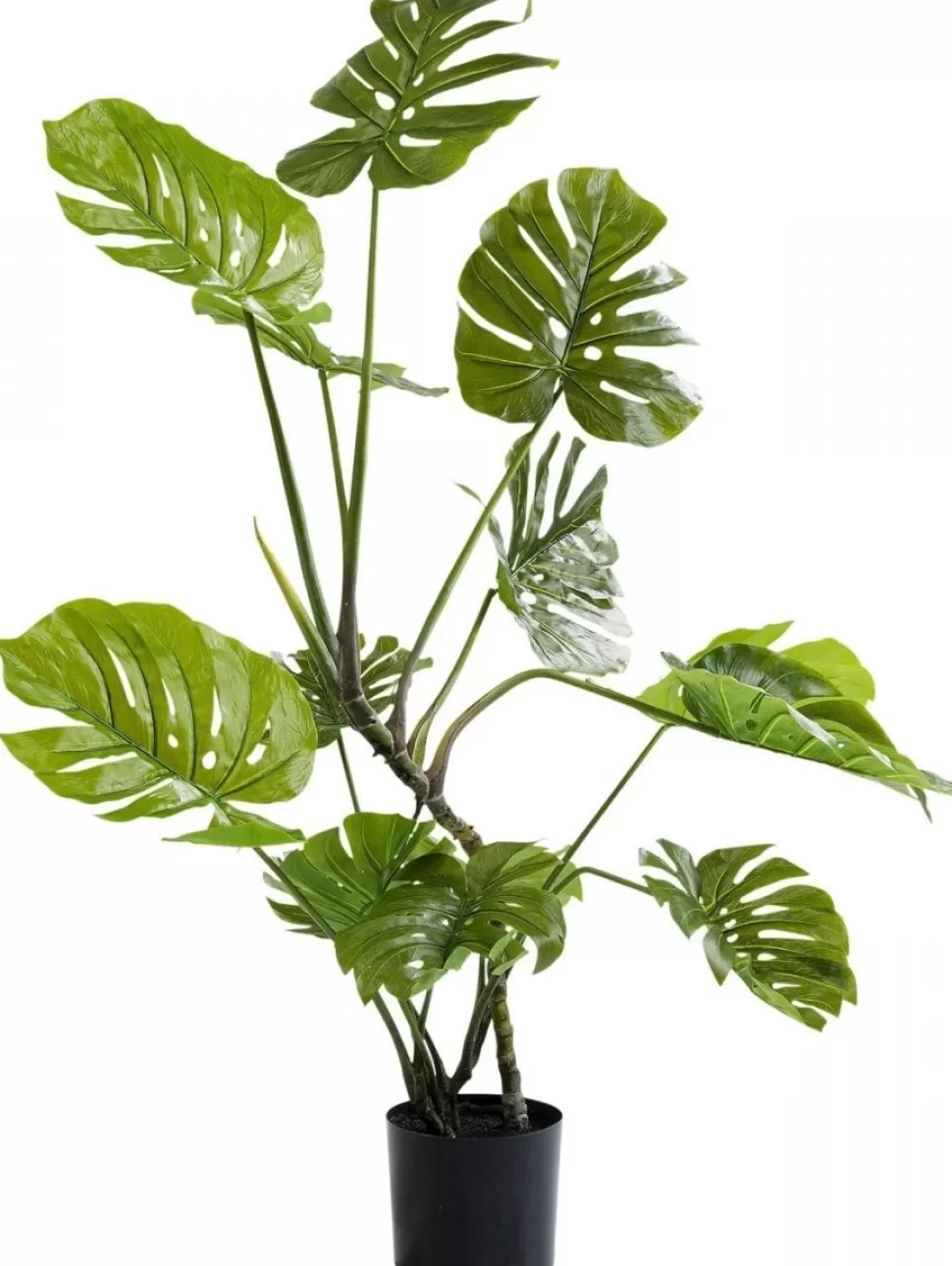 Rośliny Dekoracyjne-KARE Design Roślina Dekoracyjna Monstera 110 Cm