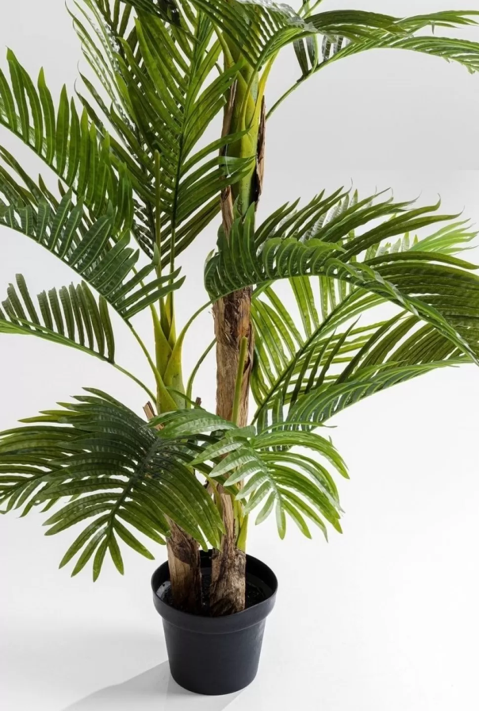 Rośliny Dekoracyjne-KARE Design Roślina Dekoracyjna Palm Tree 190 Cm