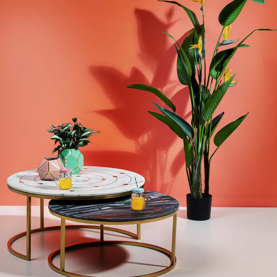 Rośliny Dekoracyjne-KARE Design Roślina Dekoracyjna Paradise Flowers 190 Cm