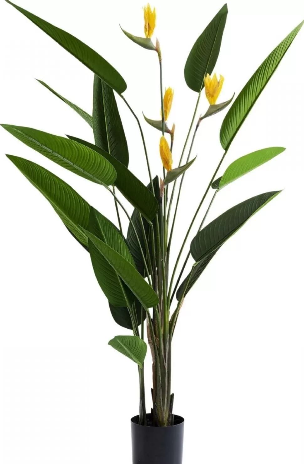 Rośliny Dekoracyjne-KARE Design Roślina Dekoracyjna Paradise Flowers 190 Cm