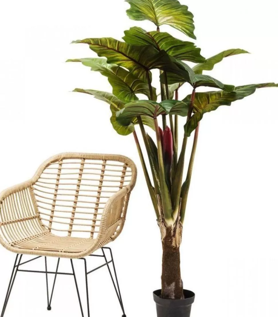Rośliny Dekoracyjne-KARE Design Roślina Dekoracyjna Rainforest Red 170 Cm Kolorowa