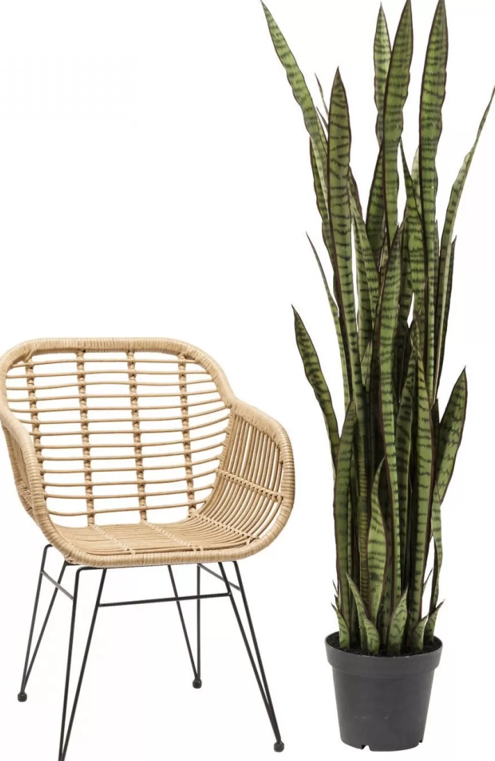 Rośliny Dekoracyjne-KARE Design Roślina Dekoracyjna Sansewieria 155 Cm