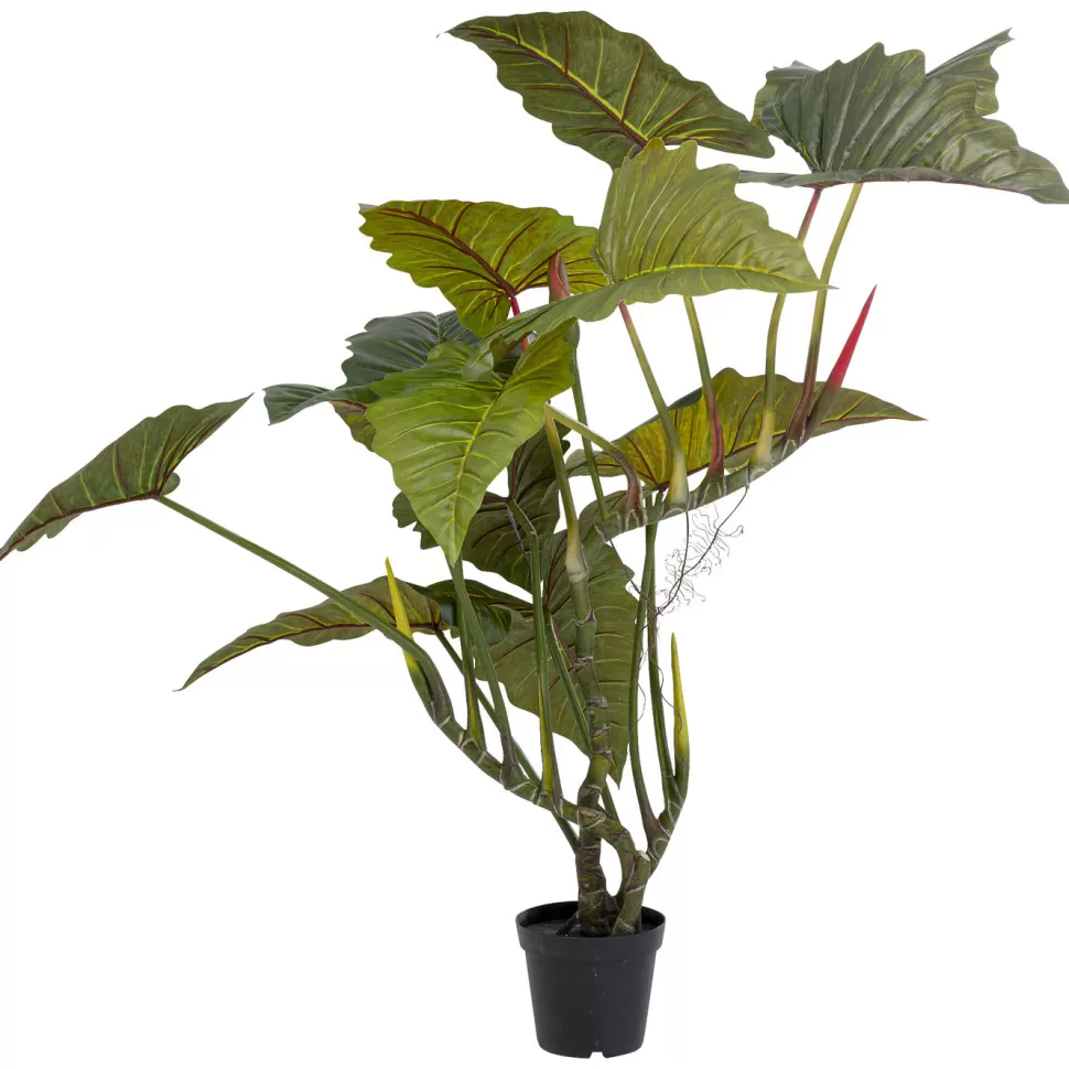 Rośliny Dekoracyjne-KARE Design Roślina Dekoracyjna Toro 180 Cm