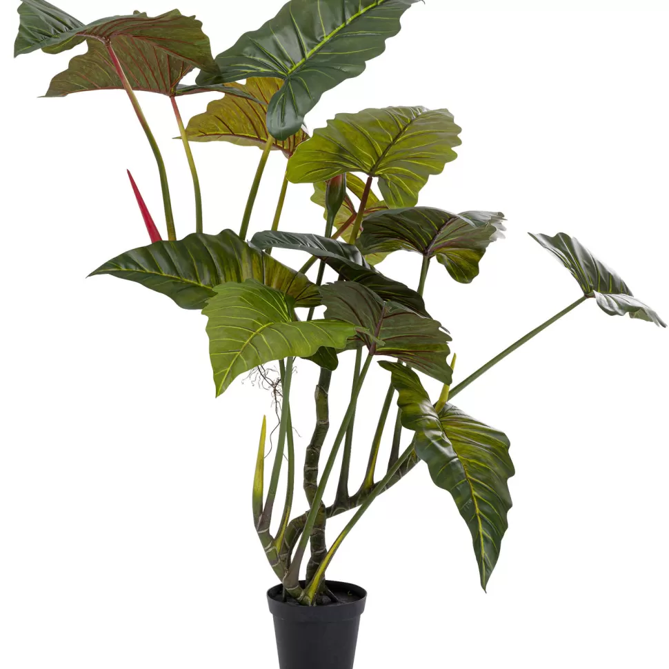 Rośliny Dekoracyjne-KARE Design Roślina Dekoracyjna Toro 180 Cm