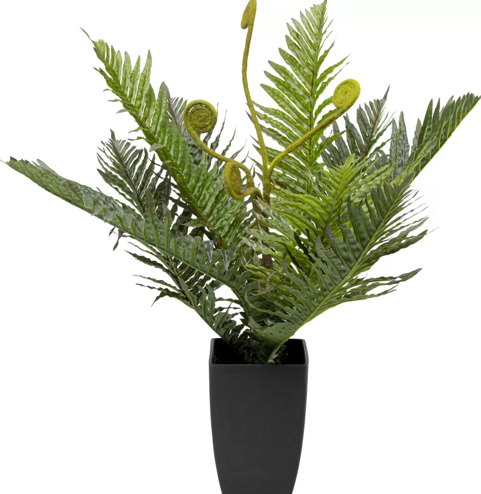 Rośliny Dekoracyjne-KARE Design Roślina Sztuczna Do Salonu Paproć 55 Cm