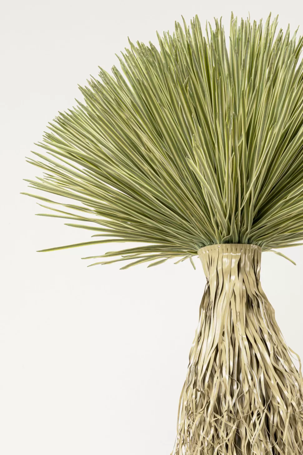 Rośliny Dekoracyjne-KARE Design Roślina Sztuczna Wysoka Yucca Rostrata 240 Cm