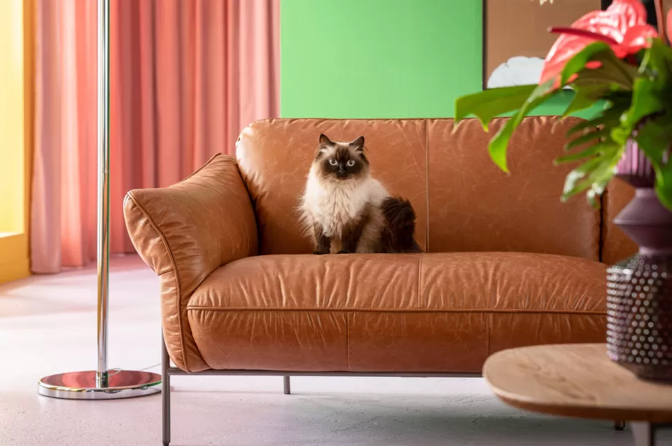 Sofy-KARE Design Sofa Ekskluzywna 3-osobowa Brązowa Skóra Semianilinowa Nogi Czarne 226 Cm